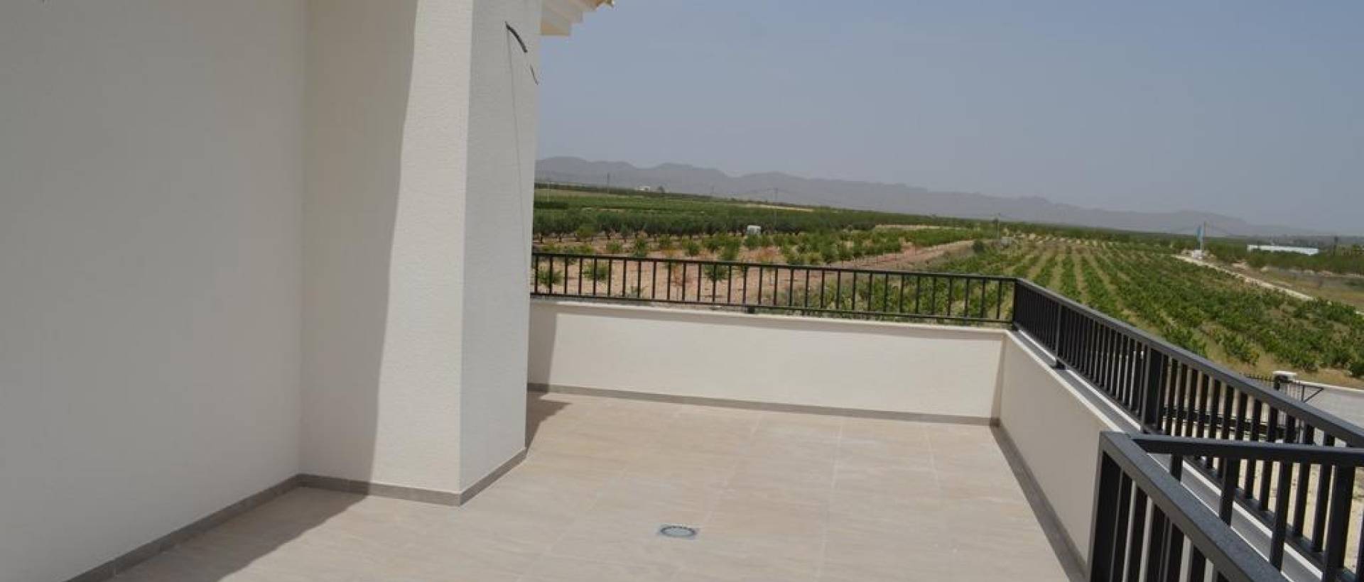 Obra Nueva - Villa / Chalet - Pinoso - Camino Del Prado