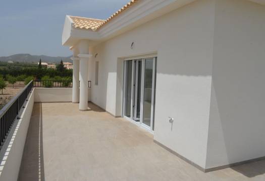 Obra Nueva - Villa / Chalet - Pinoso - Camino Del Prado