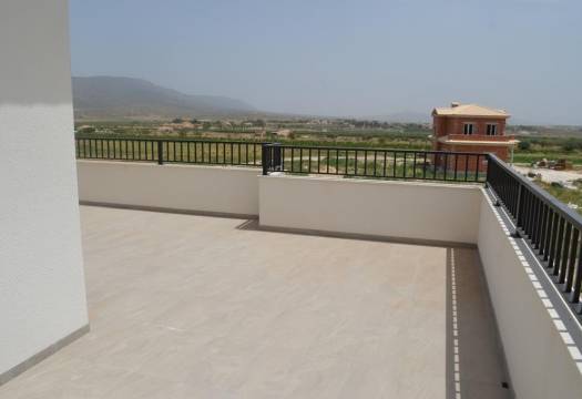 Obra Nueva - Villa / Chalet - Pinoso - Camino Del Prado