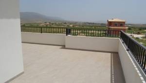 Obra Nueva - Villa / Chalet - Pinoso - Camino Del Prado