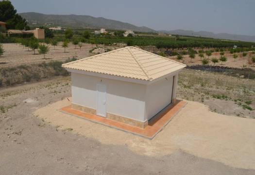 Obra Nueva - Villa / Chalet - Pinoso - Camino Del Prado