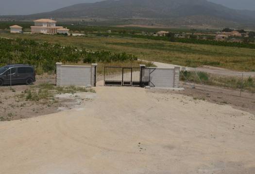 Obra Nueva - Villa / Chalet - Pinoso - Camino Del Prado
