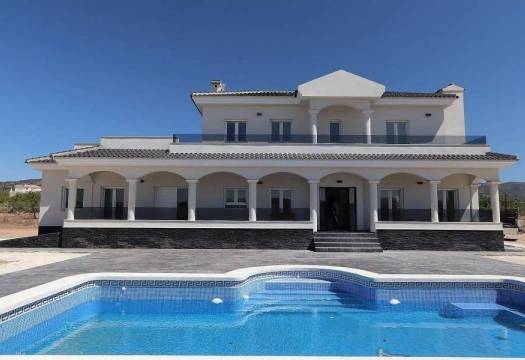 Obra Nueva - Villa / Chalet - Pinoso - Camino Del Prado