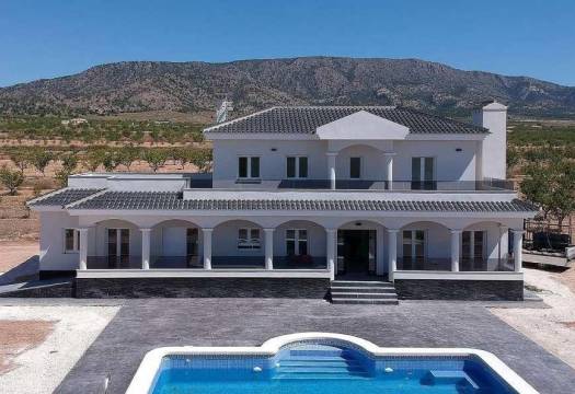 Obra Nueva - Villa / Chalet - Pinoso - Camino Del Prado
