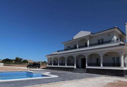 Obra Nueva - Villa / Chalet - Pinoso - Camino Del Prado