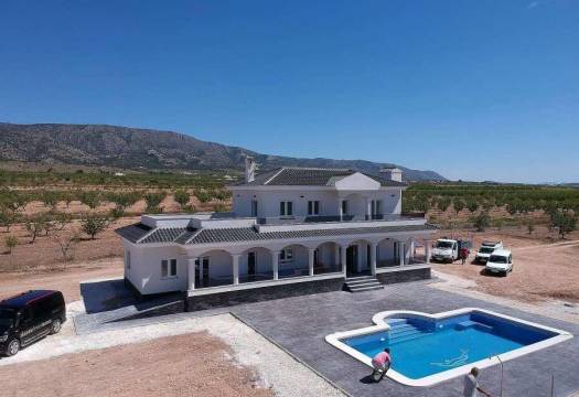 Obra Nueva - Villa / Chalet - Pinoso - Camino Del Prado