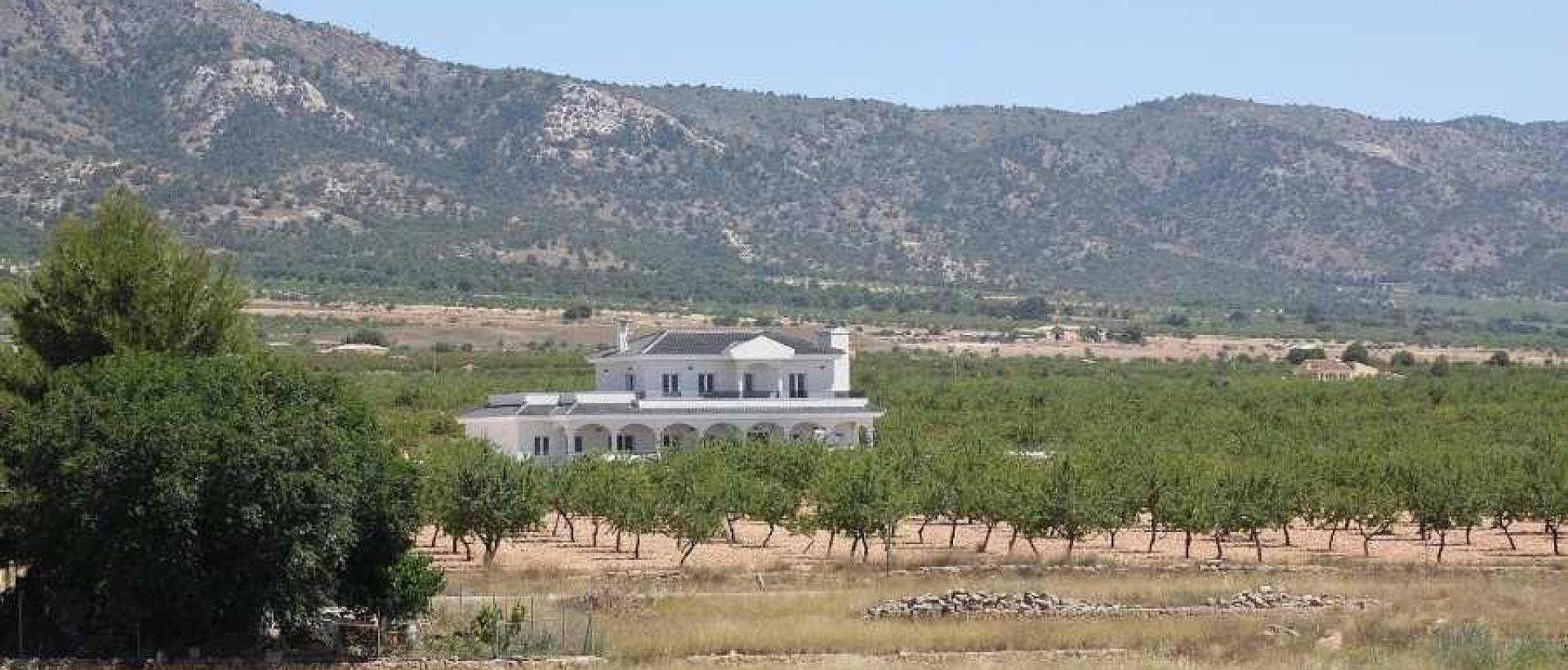 Obra Nueva - Villa / Chalet - Pinoso - Camino Del Prado