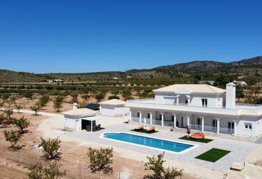 Obra Nueva - Villa / Chalet - Pinoso - Camino Del Prado