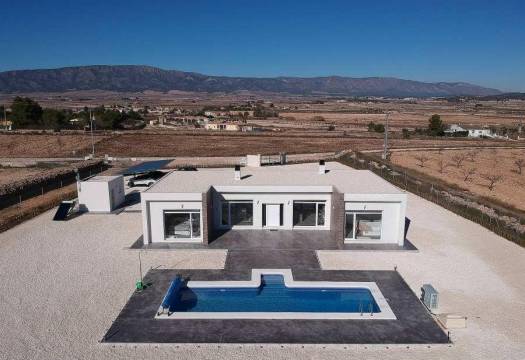 Obra Nueva - Villa / Chalet - Pinoso - Camino Del Prado