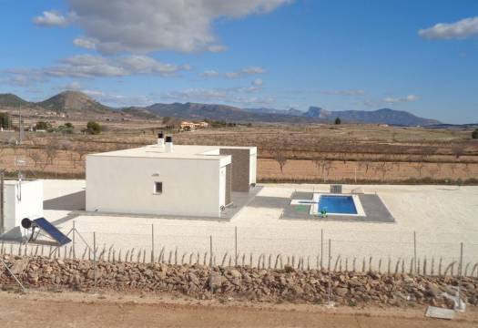 Obra Nueva - Villa / Chalet - Pinoso - Camino Del Prado