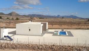 Obra Nueva - Villa / Chalet - Pinoso - Camino Del Prado