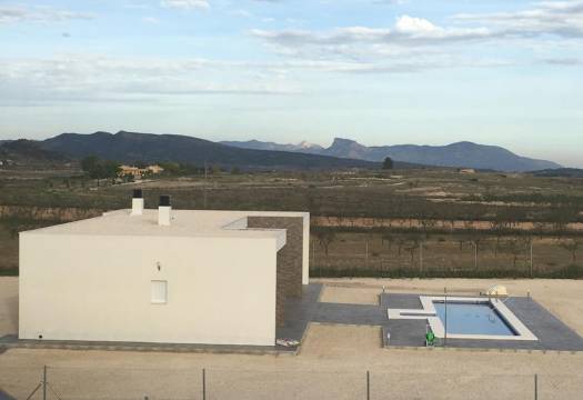 Obra Nueva - Villa / Chalet - Pinoso - Camino Del Prado