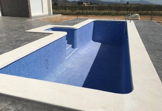 Obra Nueva - Villa / Chalet - Pinoso - Camino Del Prado