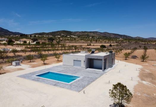 Obra Nueva - Villa / Chalet - Pinoso - Camino Del Prado