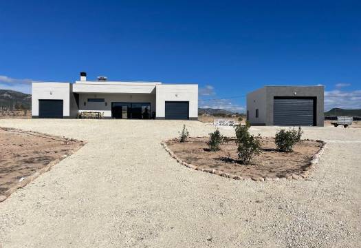 Obra Nueva - Villa / Chalet - Pinoso - Camino Del Prado