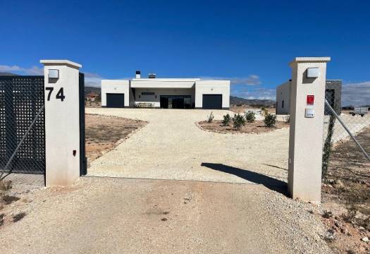 Obra Nueva - Villa / Chalet - Pinoso - Camino Del Prado