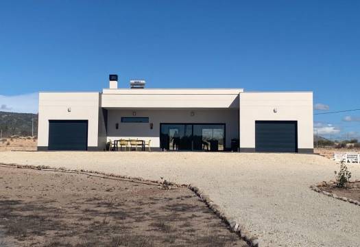 Obra Nueva - Villa / Chalet - Pinoso - Camino Del Prado