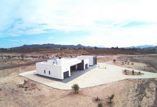 Obra Nueva - Villa / Chalet - Pinoso - Camino Del Prado