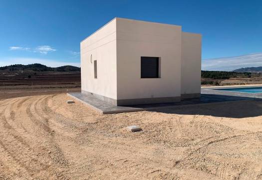 Obra Nueva - Villa / Chalet - Pinoso - Camino Del Prado