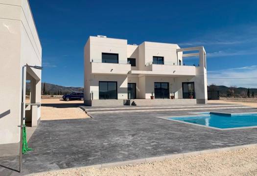 Obra Nueva - Villa / Chalet - Pinoso - Camino Del Prado
