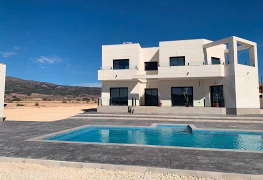 Obra Nueva - Villa / Chalet - Pinoso - Camino Del Prado