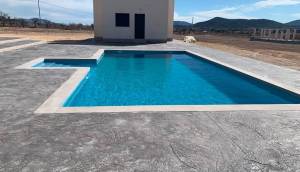 Obra Nueva - Villa / Chalet - Pinoso - Camino Del Prado
