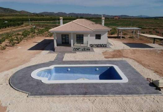 Obra Nueva - Villa / Chalet - Pinoso - Camino Del Prado