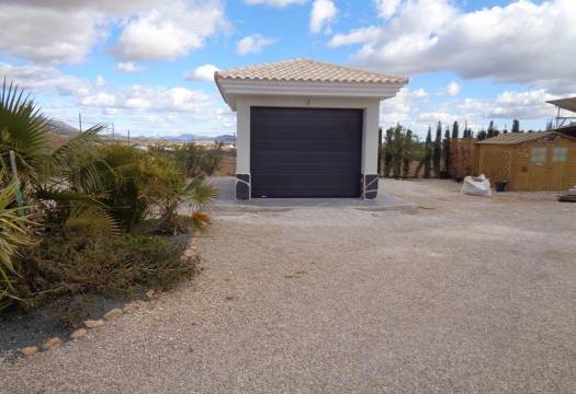 Obra Nueva - Villa / Chalet - Pinoso - Camino Del Prado