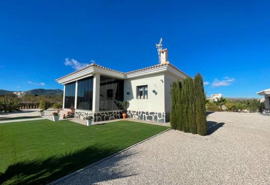 Obra Nueva - Villa / Chalet - Pinoso - Camino Del Prado