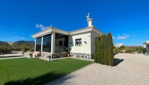 Obra Nueva - Villa / Chalet - Pinoso - Camino Del Prado
