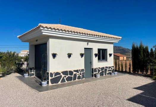 Obra Nueva - Villa / Chalet - Pinoso - Camino Del Prado
