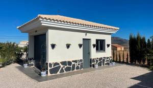 Obra Nueva - Villa / Chalet - Pinoso - Camino Del Prado