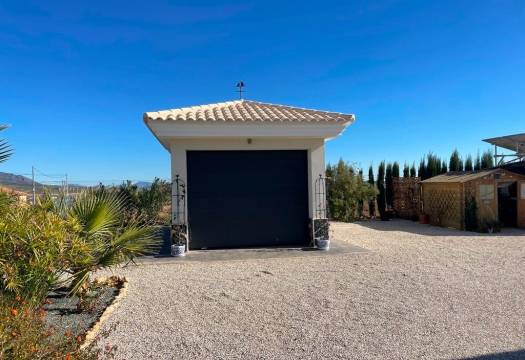 Obra Nueva - Villa / Chalet - Pinoso - Camino Del Prado