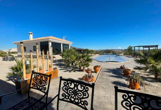 Obra Nueva - Villa / Chalet - Pinoso - Camino Del Prado