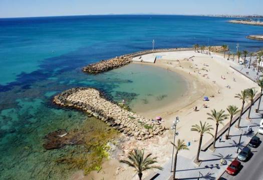 Obra Nueva - Apartmento - Torrevieja - Habaneras