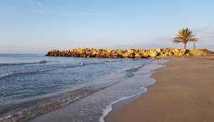 Obra Nueva - Apartmento - Santa Pola - Playa Tamarit
