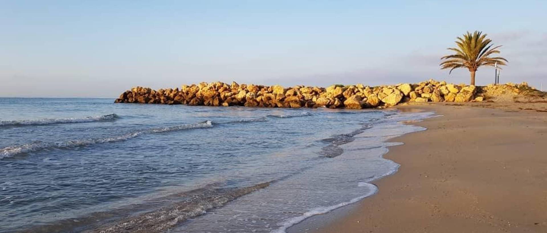 Obra Nueva - Apartmento - Santa Pola - Playa Tamarit