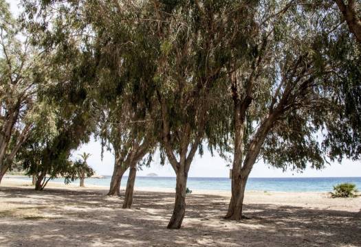 Obra Nueva - Ground floor apartment - Villajoyosa - Playa Les Torres