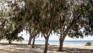 Obra Nueva - Ground floor apartment - Villajoyosa - Playa Les Torres