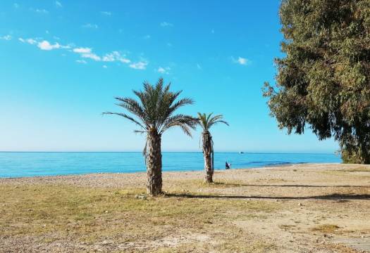 Obra Nueva - Ground floor apartment - Villajoyosa - Playa Les Torres
