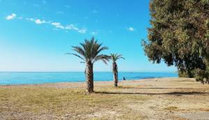 Obra Nueva - Ground floor apartment - Villajoyosa - Playa Les Torres