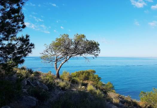 Obra Nueva - Ground floor apartment - Villajoyosa - Playa Les Torres