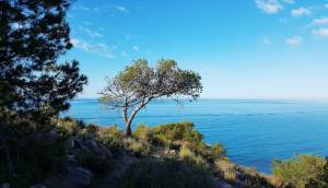 Obra Nueva - Ground floor apartment - Villajoyosa - Playa Les Torres