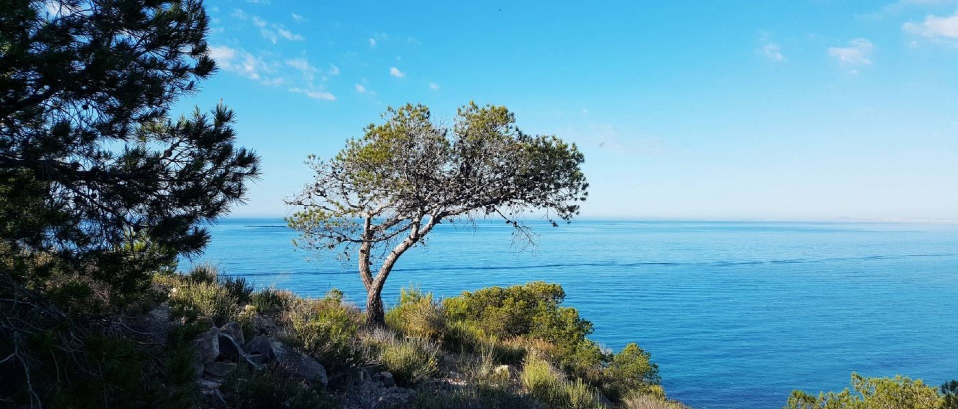 Obra Nueva - Ground floor apartment - Villajoyosa - Playa Les Torres