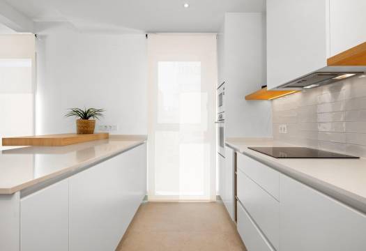 Obra Nueva - Villa / Chalet - Benijofar - Centro