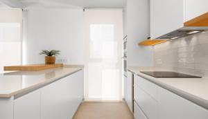 Obra Nueva - Villa / Chalet - Benijofar - Centro
