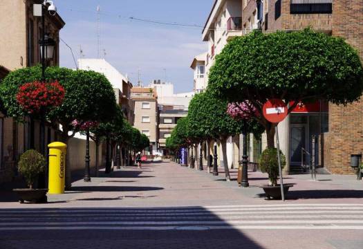 New - Semidetached - Torre Pacheco - Torre-pacheco