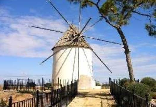 New - Semidetached - Torre Pacheco - Torre-pacheco