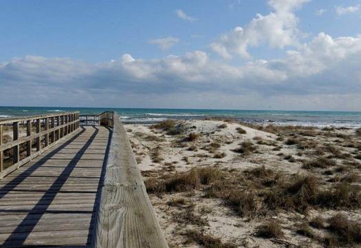 Obra Nueva - Villa / Chalet - San Pedro del Pinatar - El salero