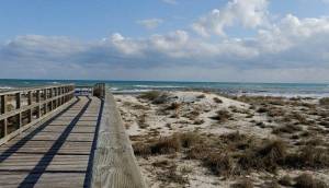 Obra Nueva - Villa / Chalet - San Pedro del Pinatar - El salero